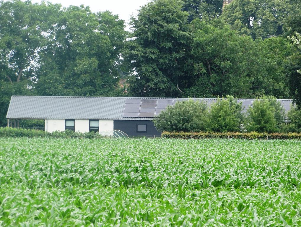 Liefkeshoek Villa Cuijk Exteriör bild